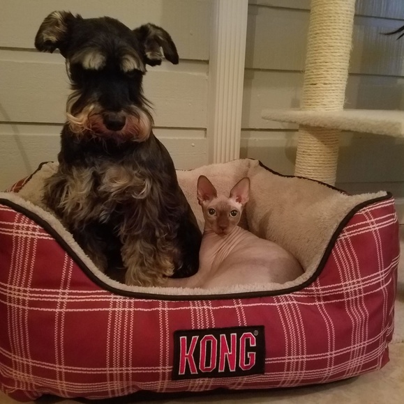 are you having your best day possible? - Picture 10 of 15